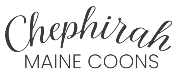 Chephirah Maine Coons Logo With Transparent Background