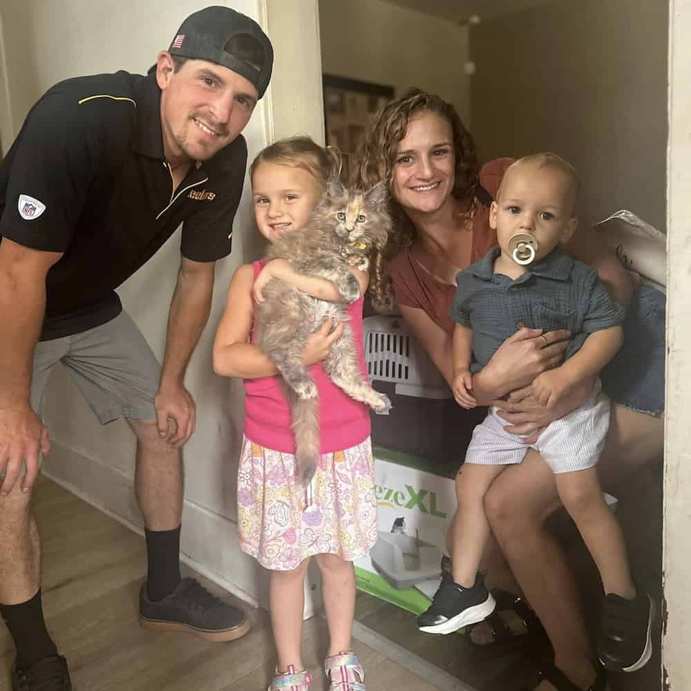 Maine Coon Kitten Adoptions in Pittsburgth, PA